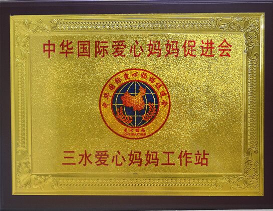 中华国际爱心妈妈促进会